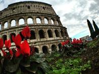 coliseum with red flowers